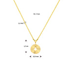 collier rondje 41 + 4 cm zilver verguld (geel)