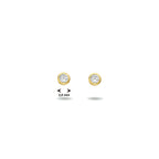 oorknoppen zirkonia 14K geelgoud