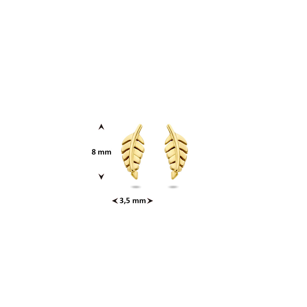 Ohrstecker Feder 8 mm 14K Gelbgold