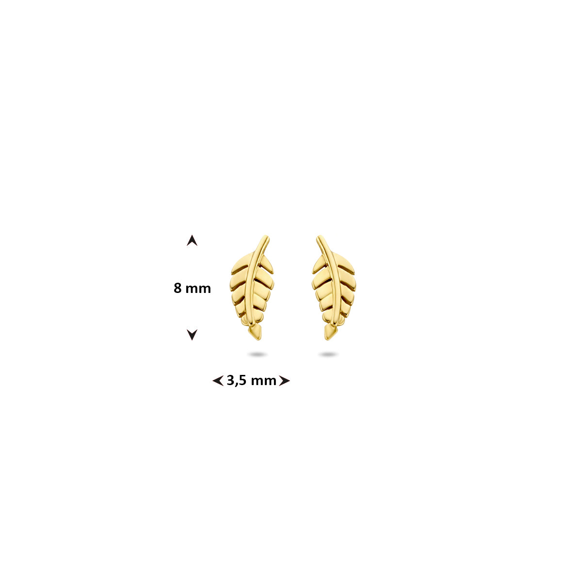 Ohrstecker Feder 8 mm 14K Gelbgold