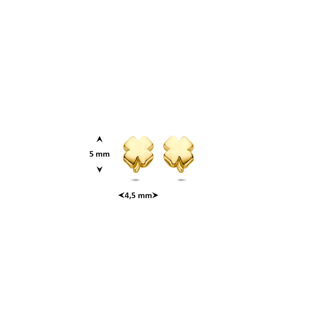 oorknoppen klaver 5 mm 14K geelgoud