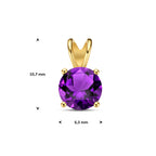 hanger amethist 14K geelgoud
