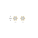 oorknoppen lab grown diamant 0.50ct (2x 0.25ct) g vs 5 mm 14K geelgoud