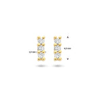 Ohrstecker Diamant 0,05 ct (2x 0,025 ct) h p1 14K Gelbgold