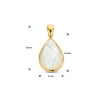 hanger parelmoer 14K geelgoud