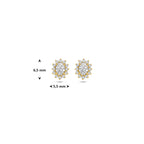 oorknoppen lab grown diamant 0.43ct (2x 0.217ct) f vs 6,5 mm 14K geelgoud