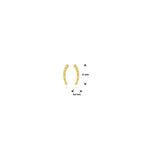 Ohrstecker Diamant 0.05ct (2x 0.025ct) H SI 11 mm 14K Gelbgold