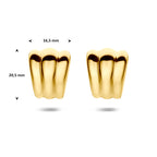 stekeroorringen 20,5 mm 1 micron zilver verguld (geel)