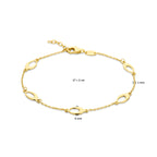 Armband oval 17 + 2 cm 14K Gelbgold