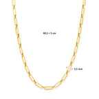collier ion plating 5,5 mm 40 + 5 cm edelstaal