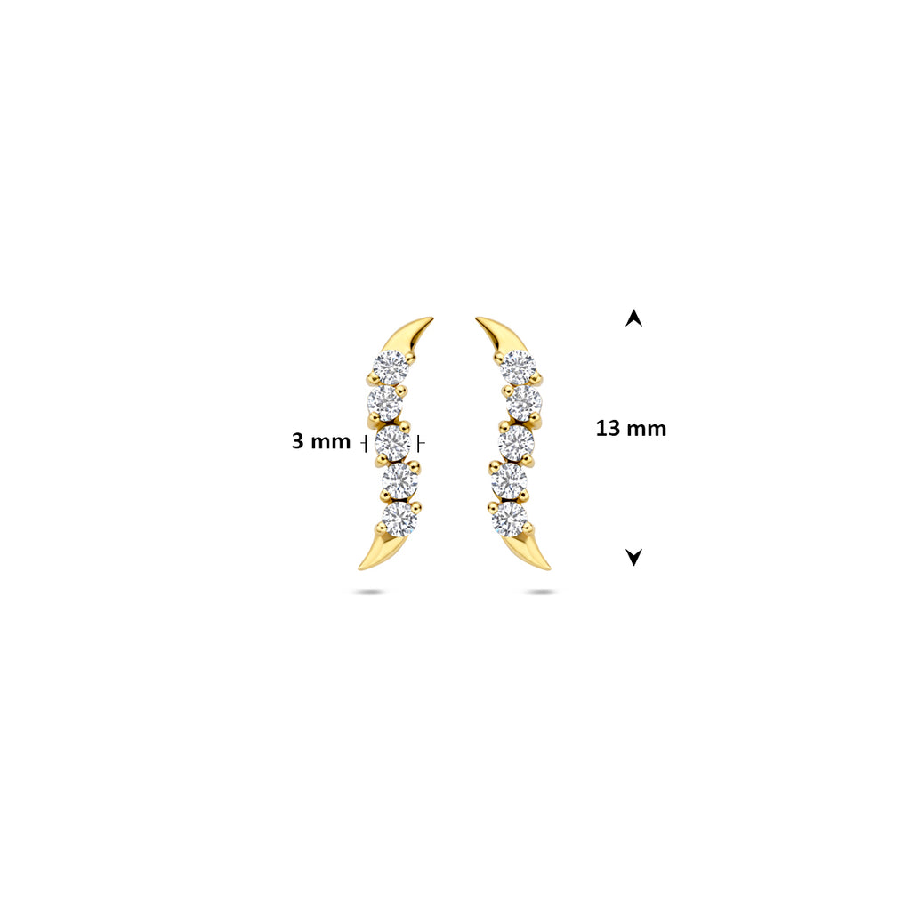 oorknoppen zirkonia 14K geelgoud