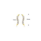 oorknoppen zirkonia 14K geelgoud