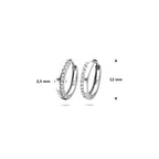 klapoorringen zirkonia 14K witgoud