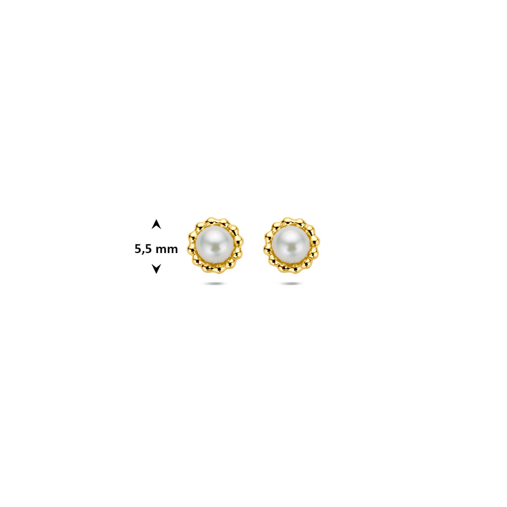 oorknoppen parel 5,5 mm 14K geelgoud