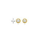 oorknoppen parel 5,5 mm 14K geelgoud