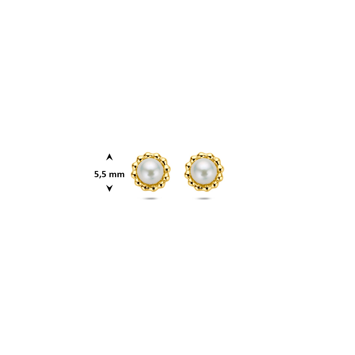 oorknoppen parel 5,5 mm 14K geelgoud