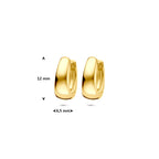 9k klapoorringen 12 mm 9K geel