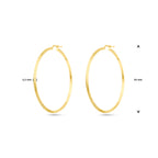 oorringen gediamanteerd 1 micron zilver verguld (geel)