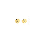 Ohrstecker 5,5 mm 14K Gelbgold