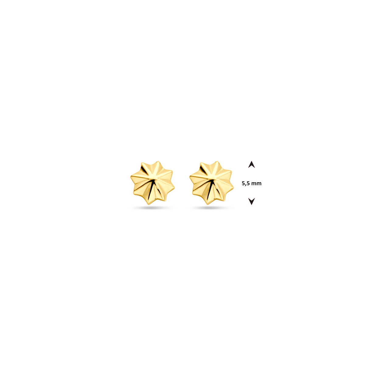 Ohrstecker 5,5 mm 14K Gelbgold