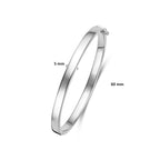 bangle scharnier 5 mm vlakke buis zilver wit