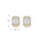oorknoppen zirkonia halo 14K geelgoud