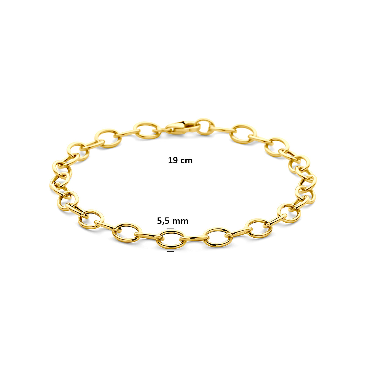 armband anker 5,5 mm 19 cm 14K geelgoud