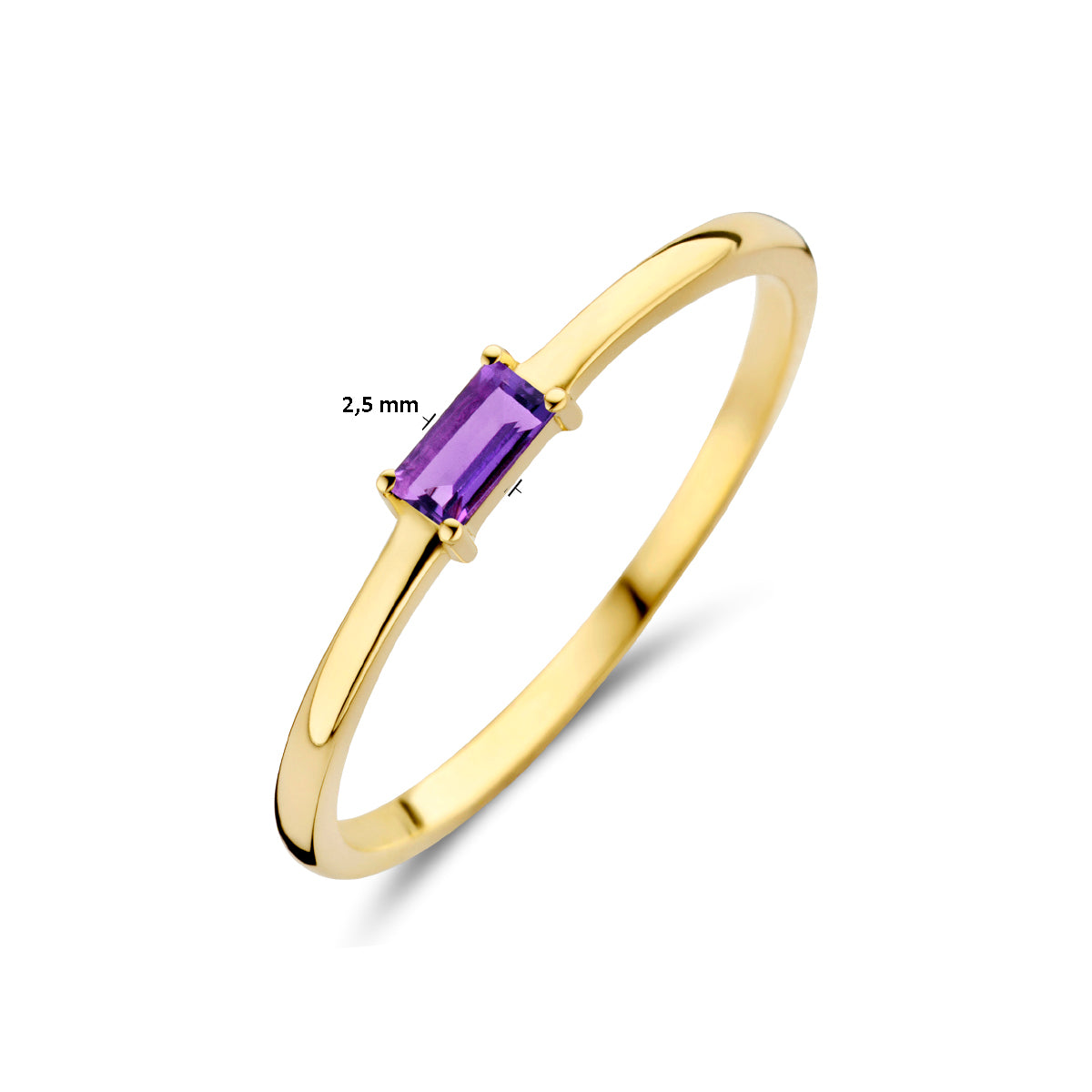 Ring mit Geburtsstein Amethyst Februar 14K Gelbgold