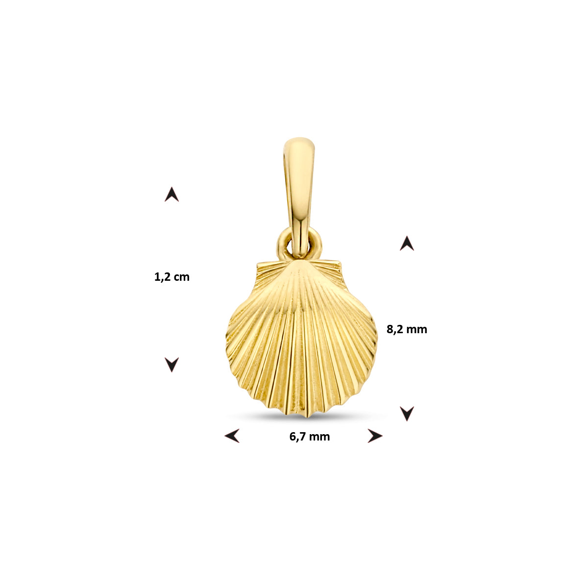 Anhänger Muschel 12 mm 14K Gelbgold