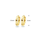 klapoorringen zeshoek 12 mm 14K geelgoud