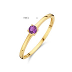 Ring mit Geburtsstein Amethyst Februar 14K Gelbgold