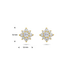 Ohrstecker Zirkonia Rosette 14K Gelbgold