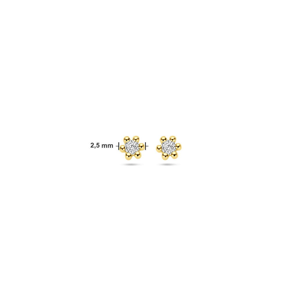 Ohrstecker Diamant 0.04ct (2x 0.02ct) H P1 2,5 mm 14K Gelbgold