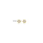 Ohrstecker Diamant 0.04ct (2x 0.02ct) H P1 2,5 mm 14K Gelbgold