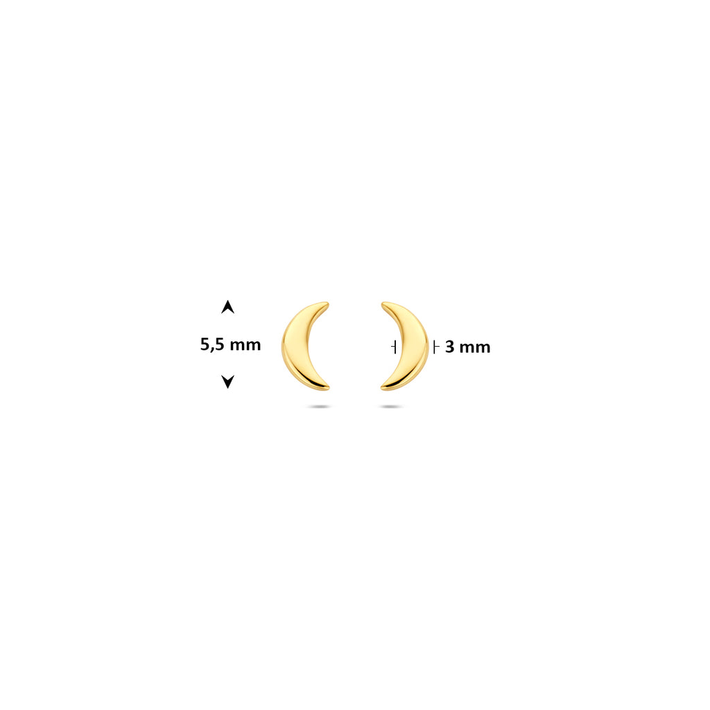 oorknoppen maan 5,5 mm 14K geelgoud