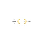 oorknoppen maan 5,5 mm 14K geelgoud