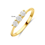 ring zirkonia 14K geelgoud