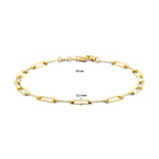 armband paperclip plat 19 cm 14K geelgoud