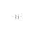 Ohrstecker Zirkonia 7,5 mm Silber rhodiniert