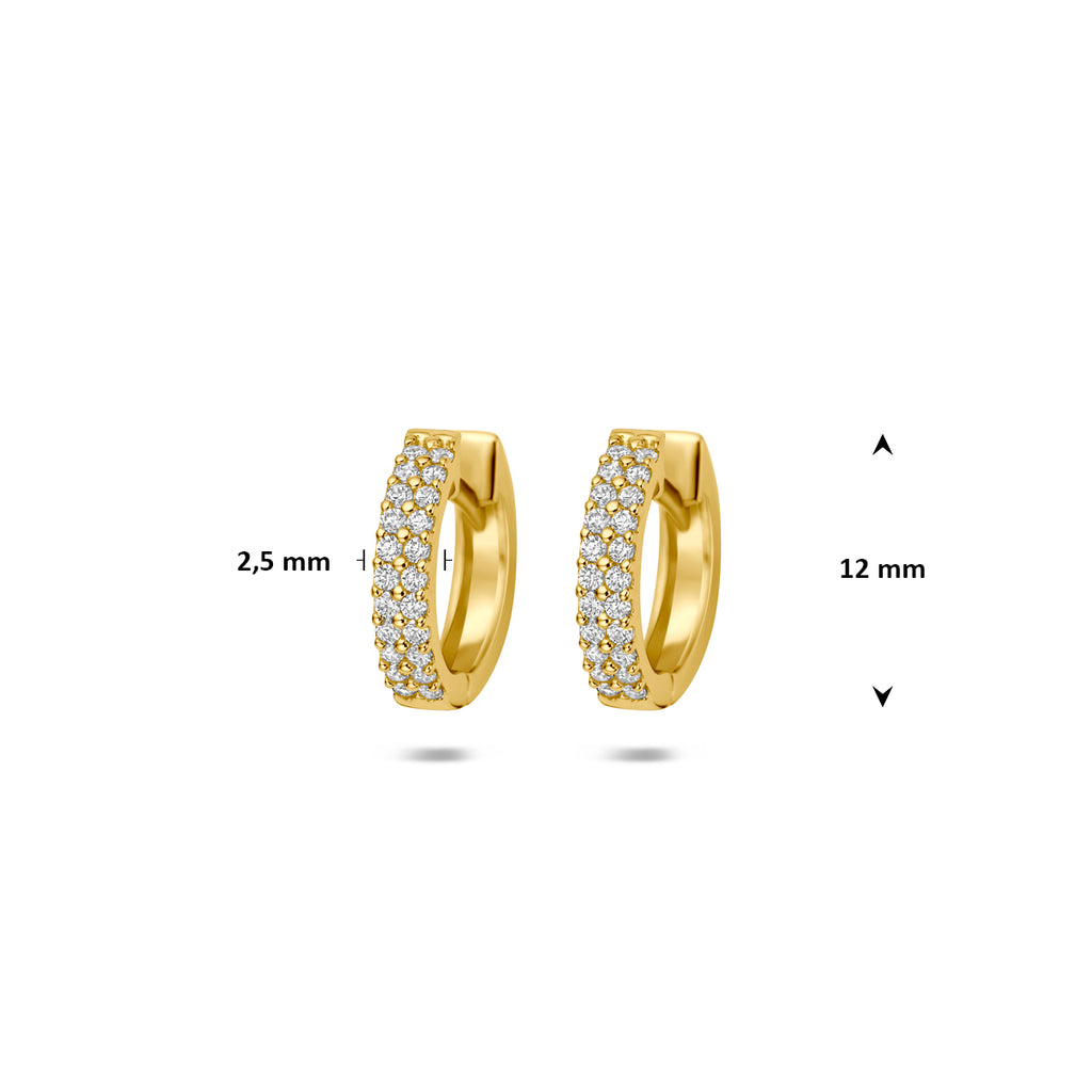 klapoorringen rond zirkonia 12 mm 14K geelgoud - rond