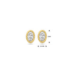 Ohrstecker Zirkonia 6 mm 14K Gelbgold