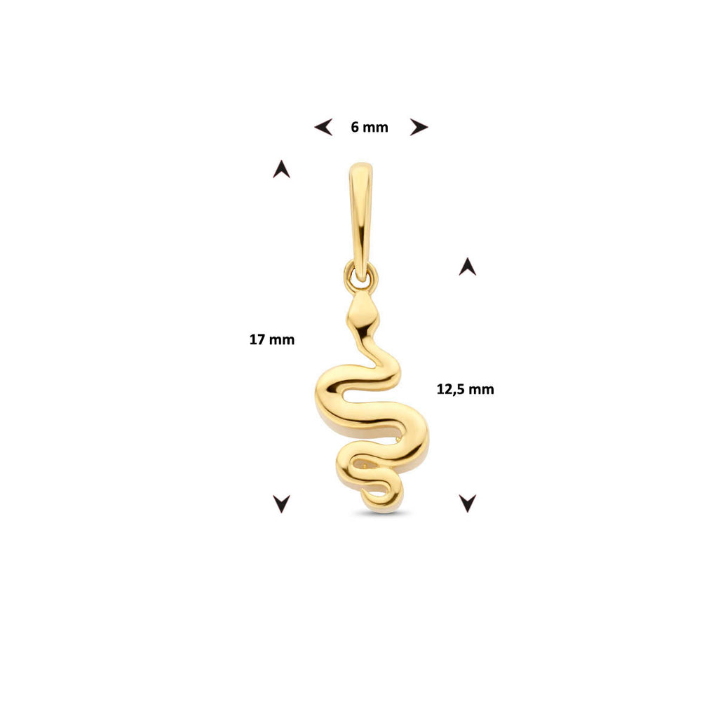 hanger slang 14K geelgoud
