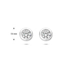 oorknoppen zirkonia zilver gerhodineerd