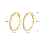 oorringen zirkonia buis 1 mm 14K geelgoud