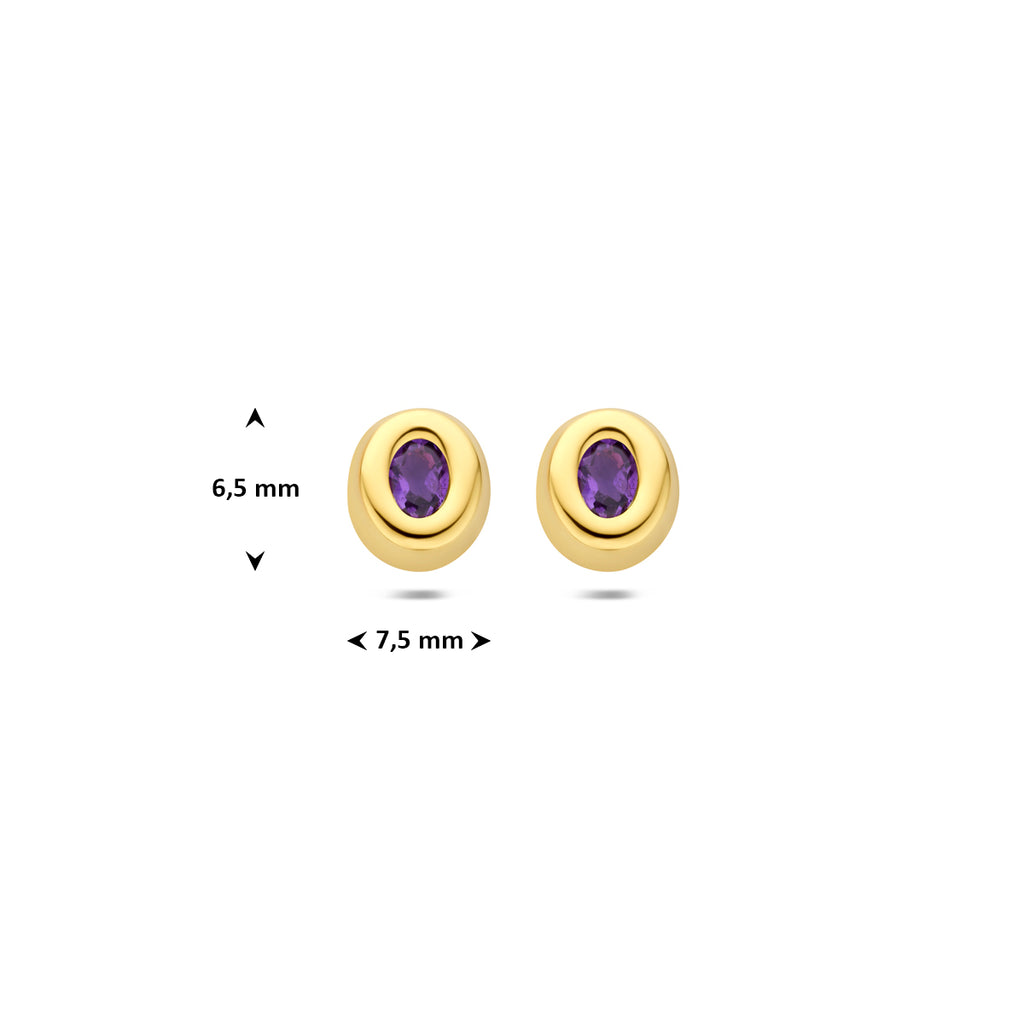 9k oorknoppen amethist 6,5 mm 9K geel