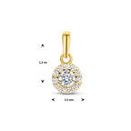 hanger zirkonia halo 12 mm 14K geelgoud