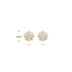 oorknoppen rozet zirkonia 6 mm 14K geelgoud