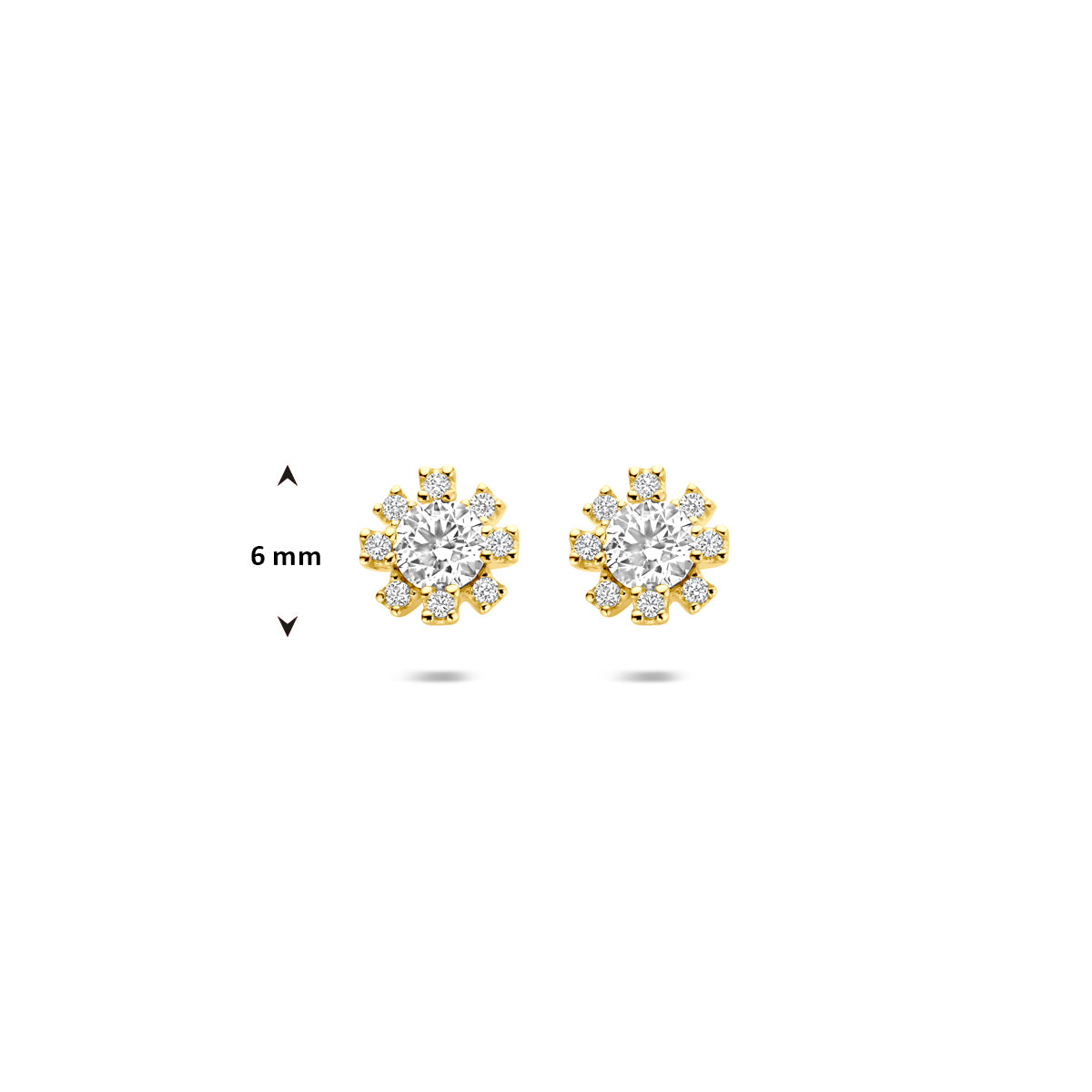 oorknoppen rozet zirkonia 6 mm 14K geelgoud