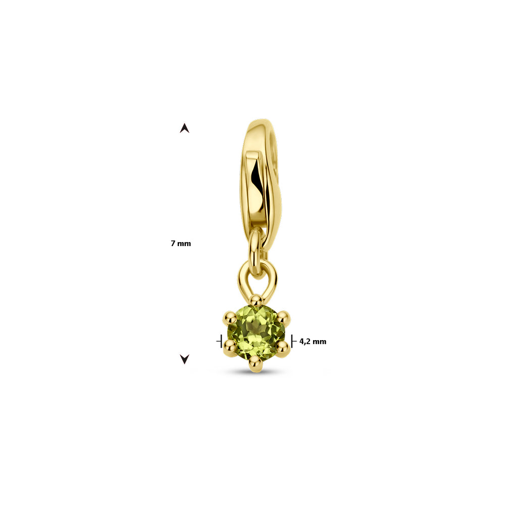 slotbedel met geboortesteen 14K geelgoud