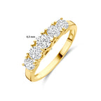 ring zirkonia 14K geelgoud